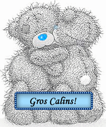 calin nounours